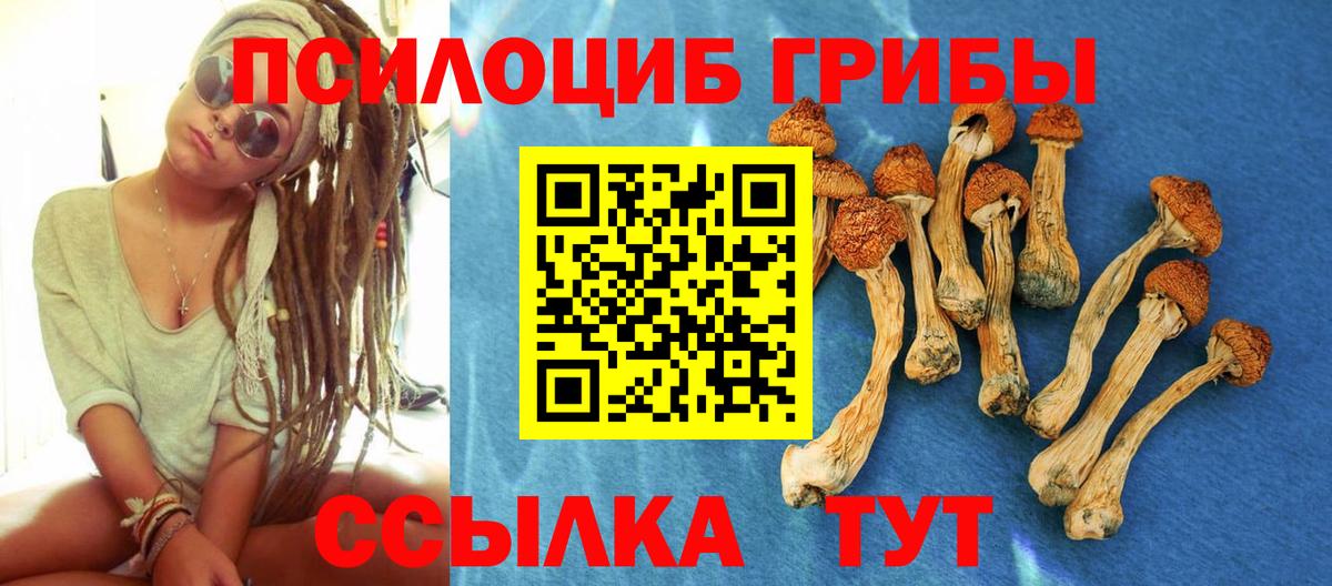 Псилоцибиновые грибы GOLDEN TEACHER Саратов