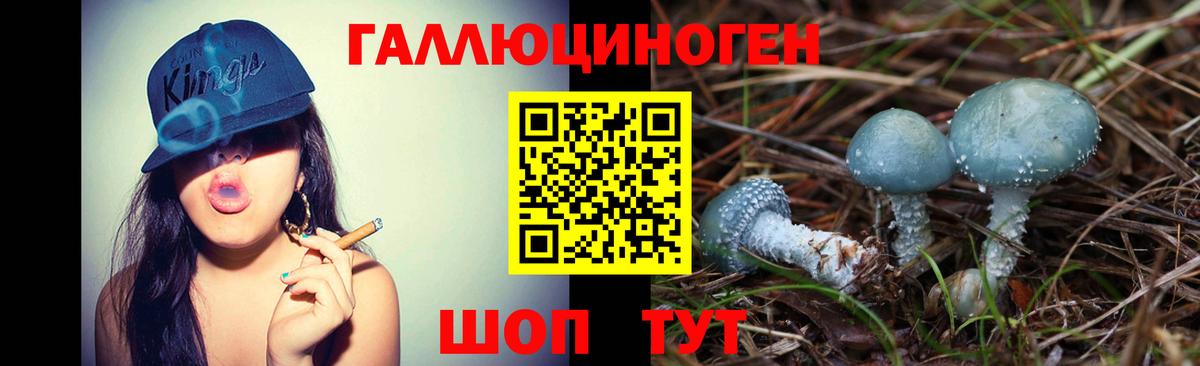 Галлюциногенные грибы GOLDEN TEACHER  Вход с VPN  Псилоцибиновые грибы ЛСД  Саратов 